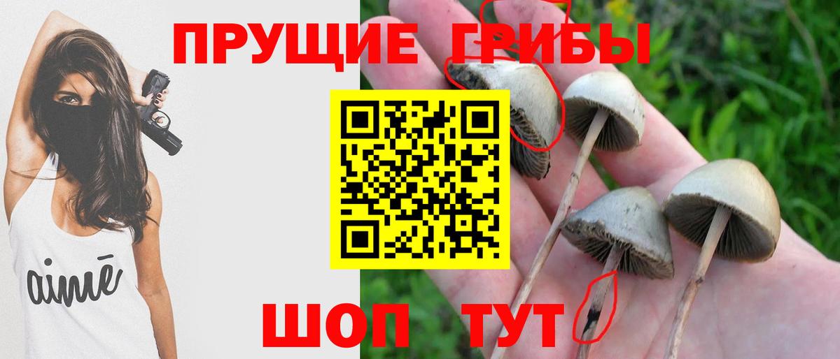 Галлюциногенные грибы мухоморы Гудермес