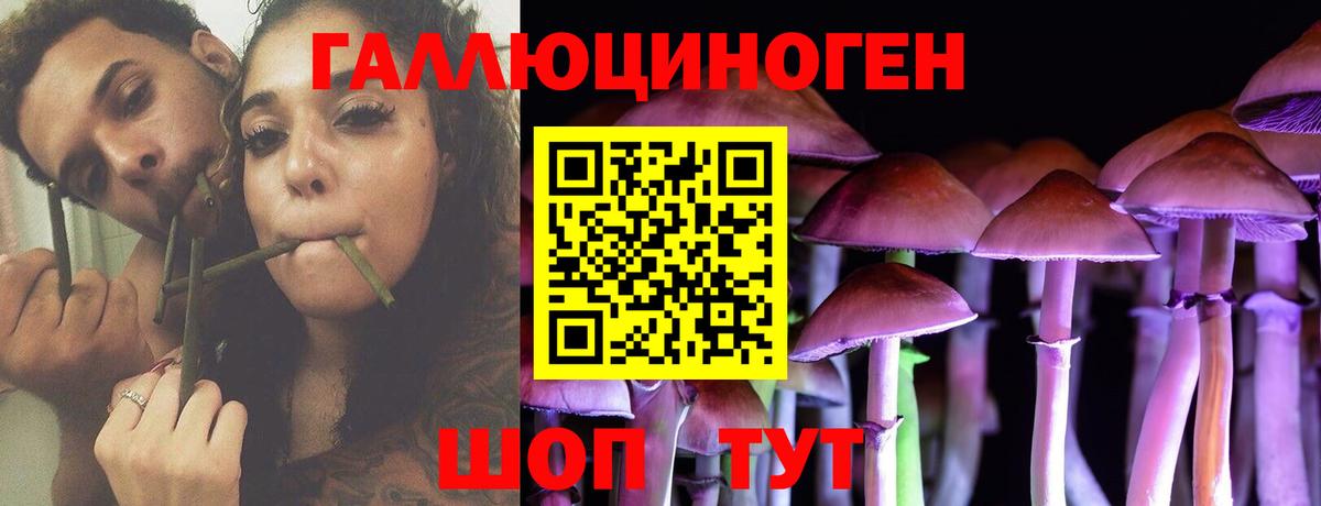 Гудермес  Галлюциногенные грибы ЛСД  Вход с VPN 